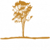 the-kikar-lodge-logo-black-transp