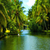 back_water_of_kerala-soul_of_kerala