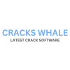 cracks-whale